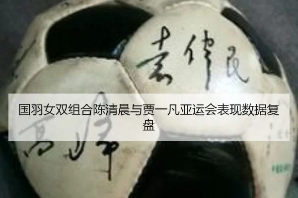国羽女双组合陈清晨与贾一凡亚运会表现数据复盘